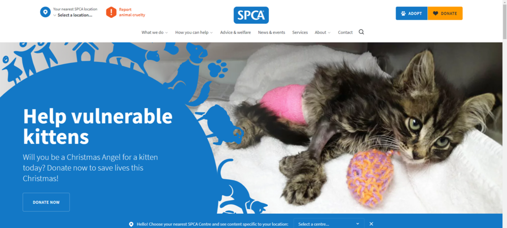 SPCA 动物保护协会 - 新西兰